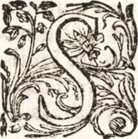 An illustration from Notizie de' professori del disegno da Cimabue in qua : per le quali si dimostra come, e per chi le bell' arti di pittura, scultura, e architettura lasciata la rozzezza delle maniere greca, e gottica, si siano in questi secoli ridotte all' antica loro perfezione (1681)
