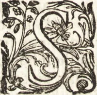 Picture 67 of 77 from Notizie de' professori del disegno da Cimabue in qua : per le quali si dimostra come, e per chi le bell' arti di pittura, scultura, e architettura lasciata la rozzezza delle maniere greca, e gottica, si siano in questi secoli ridotte all' antica loro perfezione (1681), leaf 523