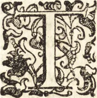 An illustration from Notizie de' professori del disegno da Cimabue in qua : per le quali si dimostra come, e per chi le bell' arti di pittura, scultura, e architettura lasciata la rozzezza delle maniere greca, e gottica, si siano in questi secoli ridotte all' antica loro perfezione (1681)