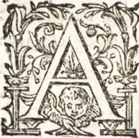 An illustration from Notizie de' professori del disegno da Cimabue in qua : per le quali si dimostra come, e per chi le bell' arti di pittura, scultura, e architettura lasciata la rozzezza delle maniere greca, e gottica, si siano in questi secoli ridotte all' antica loro perfezione (1681)