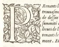 An illustration from Les observations de plvsievrs singvlaritez et choses memorables, trouuées en Grece, Asie, Iudée, Egypte, Arabie, & autres pays estranges (1553)