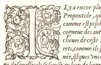 An illustration from Les observations de plvsievrs singvlaritez et choses memorables, trouuées en Grece, Asie, Iudée, Egypte, Arabie, & autres pays estranges (1553)