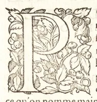 An illustration from Les observations de plvsievrs singvlaritez et choses memorables, trouuées en Grece, Asie, Iudée, Egypte, Arabie, & autres pays estranges (1553)
