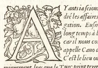 An illustration from Les observations de plvsievrs singvlaritez et choses memorables, trouuées en Grece, Asie, Iudée, Egypte, Arabie, & autres pays estranges (1553)