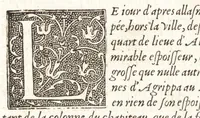 Picture 21 of 42 from Les observations de plvsievrs singvlaritez et choses memorables, trouuées en Grece, Asie, Iudée, Egypte, Arabie, & autres pays estranges (1553), leaf 217