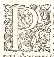 Picture 22 of 42 from Les observations de plvsievrs singvlaritez et choses memorables, trouuées en Grece, Asie, Iudée, Egypte, Arabie, & autres pays estranges (1553), leaf 231