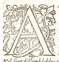 An illustration from Les observations de plvsievrs singvlaritez et choses memorables, trouuées en Grece, Asie, Iudée, Egypte, Arabie, & autres pays estranges (1553)