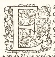 An illustration from Les observations de plvsievrs singvlaritez et choses memorables, trouuées en Grece, Asie, Iudée, Egypte, Arabie, & autres pays estranges (1553)