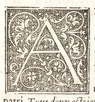 An illustration from Les observations de plvsievrs singvlaritez et choses memorables, trouuées en Grece, Asie, Iudée, Egypte, Arabie, & autres pays estranges (1553)