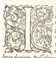 Picture 27 of 42 from Les observations de plvsievrs singvlaritez et choses memorables, trouuées en Grece, Asie, Iudée, Egypte, Arabie, & autres pays estranges (1553), leaf 272