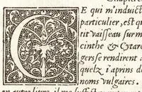 An illustration from Les observations de plvsievrs singvlaritez et choses memorables, trouuées en Grece, Asie, Iudée, Egypte, Arabie, & autres pays estranges (1553)