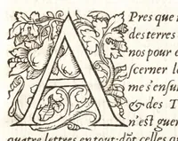 An illustration from Les observations de plvsievrs singvlaritez et choses memorables, trouuées en Grece, Asie, Iudée, Egypte, Arabie, & autres pays estranges (1553)