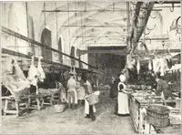 Picture 203 of 351 from Oud-Nederlandsche steden in haar ontstaan, groei en ontwikkeling (1909), leaf 323