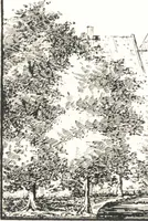 An illustration from Oud-Nederlandsche steden in haar ontstaan, groei en ontwikkeling (1909)