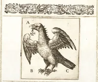An illustration from Parnassvs cum imaginibus mvsarvm deorumq[ue] praesidum Hippocrenes : omnia depicta sunt, & distichis latinis illustrata (1601)
