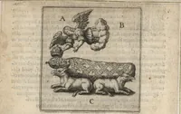 An illustration from Parnassvs cum imaginibus mvsarvm deorumq[ue] praesidum Hippocrenes : omnia depicta sunt, & distichis latinis illustrata (1601)