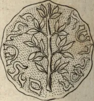 An illustration from P. Gasparis Schotti, Regiscuriani e Societate Jesu ... Technica curiosa, sive, Mirabilia artis, libris XII comprehensa .. (1664)