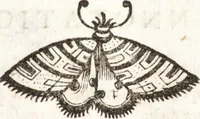 An illustration from P. Gasparis Schotti, Regiscuriani e Societate Jesu ... Technica curiosa, sive, Mirabilia artis, libris XII comprehensa .. (1664)