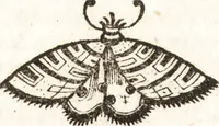 An illustration from P. Gasparis Schotti, Regiscuriani e Societate Jesu ... Technica curiosa, sive, Mirabilia artis, libris XII comprehensa .. (1664)