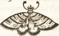 An illustration from P. Gasparis Schotti, Regiscuriani e Societate Jesu ... Technica curiosa, sive, Mirabilia artis, libris XII comprehensa .. (1664)