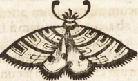 An illustration from P. Gasparis Schotti, Regiscuriani e Societate Jesu ... Technica curiosa, sive, Mirabilia artis, libris XII comprehensa .. (1664)
