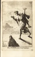 Picture 42 of 96 from Pictura loquens : sive, Heroicarum tabularum Hadriani Schoonebeeck enarratio et explicatio (1695), leaf 116