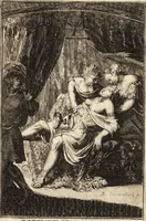 Picture 85 of 96 from Pictura loquens : sive, Heroicarum tabularum Hadriani Schoonebeeck enarratio et explicatio (1695), leaf 228