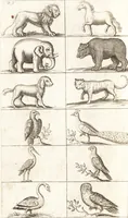 An illustration from Polygraphice, or, The arts of drawing, engraving, etching, limning, painting, washing, varnishing, gilding, colouring, dying, beautifying and perfuming ... : to which is added a discourse of perspective and chiromancy (1681)