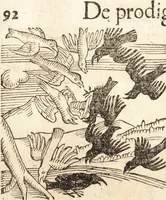 Picture 151 of 990 from Prodigiorvm ac ostentorvm chronicon : quae praeter naturae ordinem, motum, et operationem, et in svperioribus & his inferioribus mundi regionibus, ab exordio mundi usque ad haec nostra tempora, acciderunt ... (1557), leaf 103