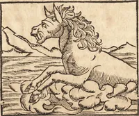 An illustration from Prodigiorvm ac ostentorvm chronicon : quae praeter naturae ordinem, motum, et operationem, et in svperioribus & his inferioribus mundi regionibus, ab exordio mundi usque ad haec nostra tempora, acciderunt ... (1557)