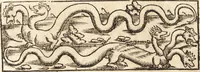 Picture 159 of 990 from Prodigiorvm ac ostentorvm chronicon : quae praeter naturae ordinem, motum, et operationem, et in svperioribus & his inferioribus mundi regionibus, ab exordio mundi usque ad haec nostra tempora, acciderunt ... (1557), leaf 108