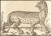 An illustration from Prodigiorvm ac ostentorvm chronicon : quae praeter naturae ordinem, motum, et operationem, et in svperioribus & his inferioribus mundi regionibus, ab exordio mundi usque ad haec nostra tempora, acciderunt ... (1557)