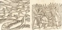 Picture 188 of 990 from Prodigiorvm ac ostentorvm chronicon : quae praeter naturae ordinem, motum, et operationem, et in svperioribus & his inferioribus mundi regionibus, ab exordio mundi usque ad haec nostra tempora, acciderunt ... (1557), leaf 125