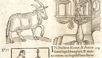 Picture 191 of 990 from Prodigiorvm ac ostentorvm chronicon : quae praeter naturae ordinem, motum, et operationem, et in svperioribus & his inferioribus mundi regionibus, ab exordio mundi usque ad haec nostra tempora, acciderunt ... (1557), leaf 127