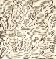 Picture 194 of 990 from Prodigiorvm ac ostentorvm chronicon : quae praeter naturae ordinem, motum, et operationem, et in svperioribus & his inferioribus mundi regionibus, ab exordio mundi usque ad haec nostra tempora, acciderunt ... (1557), leaf 127