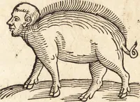 Picture 207 of 990 from Prodigiorvm ac ostentorvm chronicon : quae praeter naturae ordinem, motum, et operationem, et in svperioribus & his inferioribus mundi regionibus, ab exordio mundi usque ad haec nostra tempora, acciderunt ... (1557), leaf 135