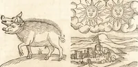 An illustration from Prodigiorvm ac ostentorvm chronicon : quae praeter naturae ordinem, motum, et operationem, et in svperioribus & his inferioribus mundi regionibus, ab exordio mundi usque ad haec nostra tempora, acciderunt ... (1557)