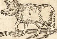 An illustration from Prodigiorvm ac ostentorvm chronicon : quae praeter naturae ordinem, motum, et operationem, et in svperioribus & his inferioribus mundi regionibus, ab exordio mundi usque ad haec nostra tempora, acciderunt ... (1557)