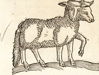 An illustration from Prodigiorvm ac ostentorvm chronicon : quae praeter naturae ordinem, motum, et operationem, et in svperioribus & his inferioribus mundi regionibus, ab exordio mundi usque ad haec nostra tempora, acciderunt ... (1557)