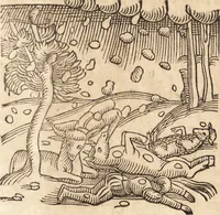 An illustration from Prodigiorvm ac ostentorvm chronicon : quae praeter naturae ordinem, motum, et operationem, et in svperioribus & his inferioribus mundi regionibus, ab exordio mundi usque ad haec nostra tempora, acciderunt ... (1557)