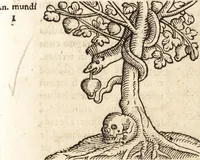 An illustration from Prodigiorvm ac ostentorvm chronicon : quae praeter naturae ordinem, motum, et operationem, et in svperioribus & his inferioribus mundi regionibus, ab exordio mundi usque ad haec nostra tempora, acciderunt ... (1557)