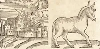 Picture 251 of 990 from Prodigiorvm ac ostentorvm chronicon : quae praeter naturae ordinem, motum, et operationem, et in svperioribus & his inferioribus mundi regionibus, ab exordio mundi usque ad haec nostra tempora, acciderunt ... (1557), leaf 161