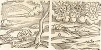 Picture 259 of 990 from Prodigiorvm ac ostentorvm chronicon : quae praeter naturae ordinem, motum, et operationem, et in svperioribus & his inferioribus mundi regionibus, ab exordio mundi usque ad haec nostra tempora, acciderunt ... (1557), leaf 166