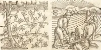An illustration from Prodigiorvm ac ostentorvm chronicon : quae praeter naturae ordinem, motum, et operationem, et in svperioribus & his inferioribus mundi regionibus, ab exordio mundi usque ad haec nostra tempora, acciderunt ... (1557)