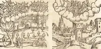 Picture 265 of 990 from Prodigiorvm ac ostentorvm chronicon : quae praeter naturae ordinem, motum, et operationem, et in svperioribus & his inferioribus mundi regionibus, ab exordio mundi usque ad haec nostra tempora, acciderunt ... (1557), leaf 169