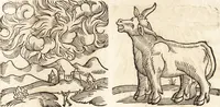 An illustration from Prodigiorvm ac ostentorvm chronicon : quae praeter naturae ordinem, motum, et operationem, et in svperioribus & his inferioribus mundi regionibus, ab exordio mundi usque ad haec nostra tempora, acciderunt ... (1557)