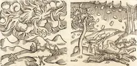 Picture 267 of 990 from Prodigiorvm ac ostentorvm chronicon : quae praeter naturae ordinem, motum, et operationem, et in svperioribus & his inferioribus mundi regionibus, ab exordio mundi usque ad haec nostra tempora, acciderunt ... (1557), leaf 171