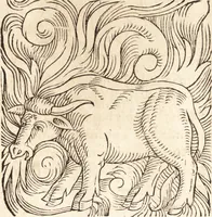 An illustration from Prodigiorvm ac ostentorvm chronicon : quae praeter naturae ordinem, motum, et operationem, et in svperioribus & his inferioribus mundi regionibus, ab exordio mundi usque ad haec nostra tempora, acciderunt ... (1557)