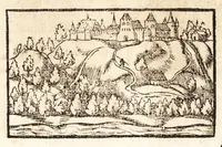 Picture 283 of 990 from Prodigiorvm ac ostentorvm chronicon : quae praeter naturae ordinem, motum, et operationem, et in svperioribus & his inferioribus mundi regionibus, ab exordio mundi usque ad haec nostra tempora, acciderunt ... (1557), leaf 180
