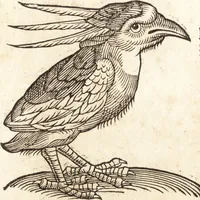 Picture 291 of 990 from Prodigiorvm ac ostentorvm chronicon : quae praeter naturae ordinem, motum, et operationem, et in svperioribus & his inferioribus mundi regionibus, ab exordio mundi usque ad haec nostra tempora, acciderunt ... (1557), leaf 184